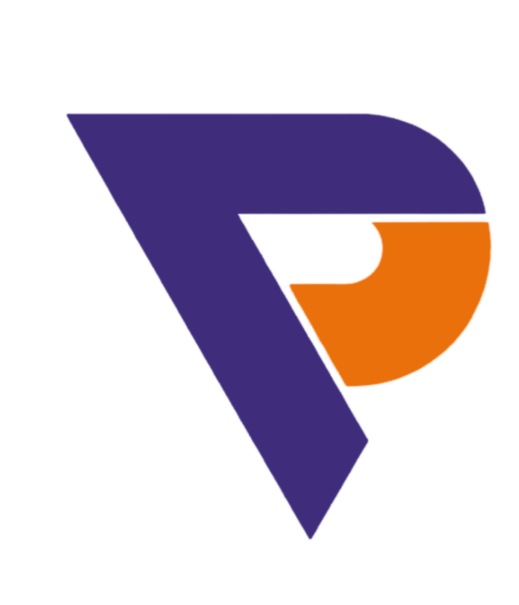 عن الشركة
